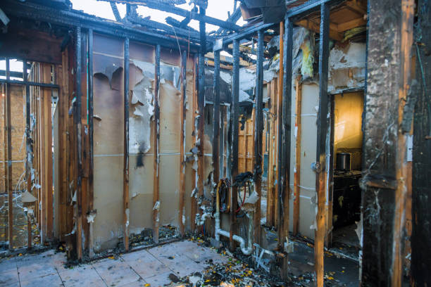 Professional Fire Damage Removal technician working in Fall City, WA