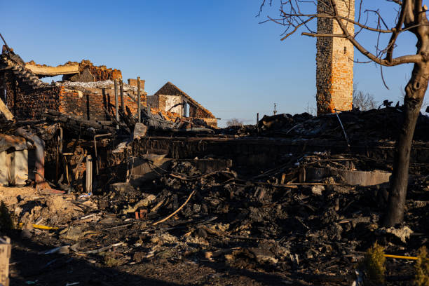 Reliable Fire Damage Removal contractor in Fall City, WA by Fire Damage Doption