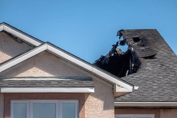 Top rated local Fire Damage Removal specialists in Fall City, WA